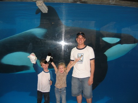 Seaworld proof 2