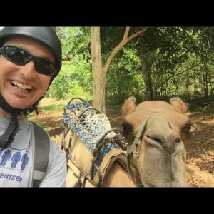 Camel Selfie